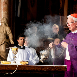 Stephansdom: Österreich nahm Abschied von Papst Franziskus / Erzdiözese Wien/ Schönlaub, Stephan Schönlaub Stephansdom: Österreich nahm Abschied von Papst Franziskus