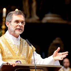 Allerheiligen Stephansdom / Erzdiözese Wien/Schönlaub, Stephan Schönlaub Allerheiligen Stephansdom
