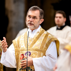Allerheiligen Stephansdom / Erzdiözese Wien/Schönlaub, Stephan Schönlaub Allerheiligen Stephansdom