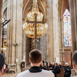 Diakonenweihe 2024 / Erzdiözese Wien/ Schönlaub