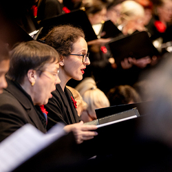 Te-Deum Papst Leo XIV / Erzdiözese Wien/Schönlaub, Stephan Schönlaub