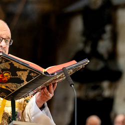 Allerheiligen Stephansdom / Erzdiözese Wien/Schönlaub, Stephan Schönlaub Allerheiligen Stephansdom