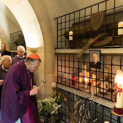 Erzdiözese Wien/ Schönlaub, Stephan Schönlaub