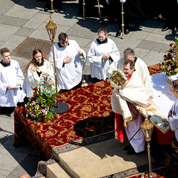 Fronleichnam 2025 / Erzdiözese Wien/ Schönlaub
