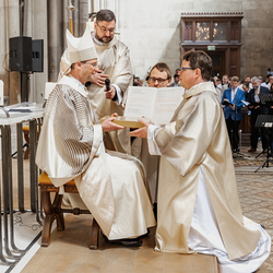 Diakonenweihe 2024 / Erzdiözese Wien/ Schönlaub