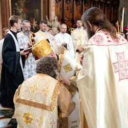 Priesterweihe Byzantinischer Ritus im Stephansdom / Erzdiözese Wien/ Schönlaub