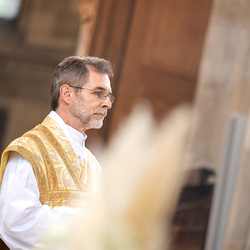 Allerheiligen Stephansdom / Erzdiözese Wien/Schönlaub, Stephan Schönlaub Allerheiligen Stephansdom