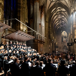 Allerseelen Requiem im Stephansdom