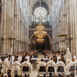 Diakonenweihe 2024 / Erzdiözese Wien/ Schönlaub